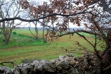 Clicca qui per vedere l'immagine in dettaglio